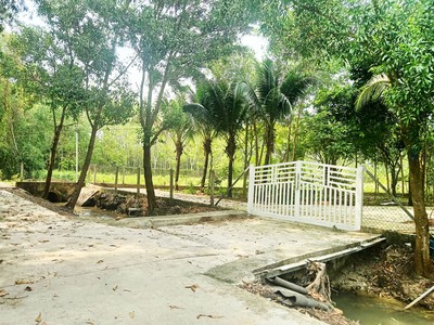 Bán đất 1/ đường võ văn điều - 790m2 - 15x61 nở hậu 17m - xã phước thạnh - củ chi 1