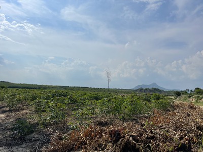 Chỉ 300 triệu/ 1000m2 đất tân bình, thị xã lagi sổ riêng cách trung tâm 2km 4