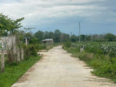 Bán vườn thanh long ruột đỏ, khu vực đá quý xã hồng liêm, huyện hàm thuận bắc, bình thuận, giá đầu 4