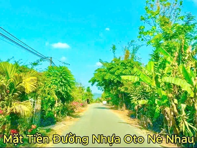 Mặt tiền nhựa liên xã cư ê wi-cư kuin- đắk lắk dt 210m2 sẵn 60m2 thổ cư kdc đông giá chỉ 2xxtr 1