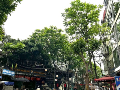 Chỉ 370tr/m - mặt phố phan kế bính - sẵn gpxd tòa nhà 10 tầng - 183m - vỉa hè siêu rộng 2