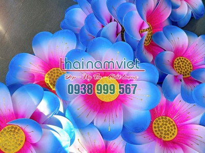 Bán quạt múa hoa múa đạo cụ cầm tay 13