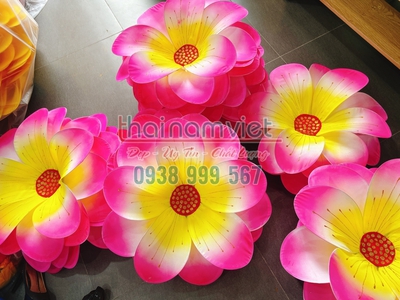 Bán quạt múa hoa múa đạo cụ cầm tay 14