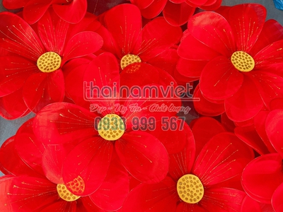 Bán quạt múa hoa múa đạo cụ cầm tay 17