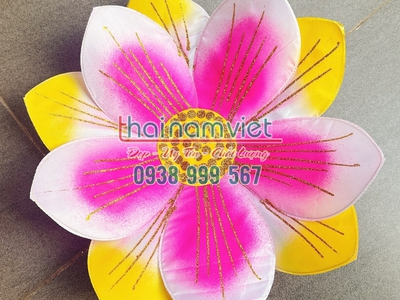 Bán quạt múa hoa múa đạo cụ cầm tay 19