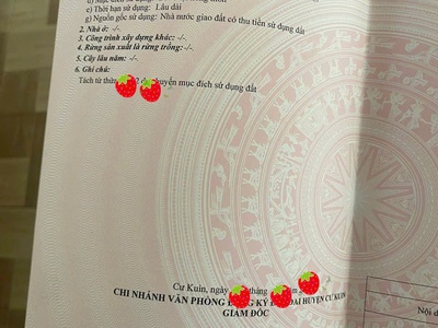 Chính chủ bán 150m  full thổ cư   xã Ea Ning, huyện Cư Kuin tỉnh Đắc Lăk 1