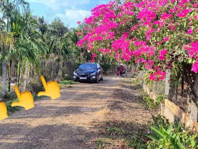 Chính chủ bán 150m  full thổ cư   xã Ea Ning, huyện Cư Kuin tỉnh Đắc Lăk 0