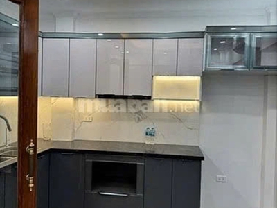 Bán nhà phố Đào Tấn - Ô tô đỗ cửa - Diện tích 40m2 - Giá bán 21 tỷ 3