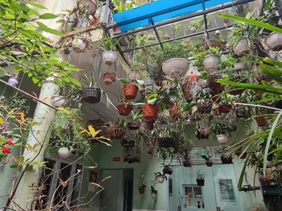 Đất vàng   cơ hội duy nhất, không ai có thể bỏ lỡ cơ hội độc nhất   nắm bắt ngay hoặc mất vĩnh viễn 0