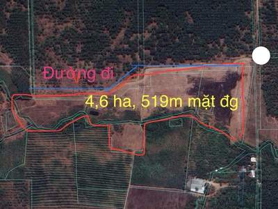 Cần bán 7 mẫu đất đẹp - đầu tư sinh lời -   chủ cần bán nhanh đất 0