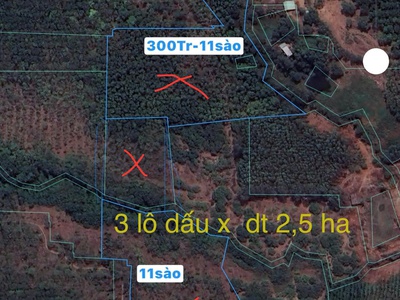 Cần bán 7 mẫu đất đẹp - đầu tư sinh lời -   chủ cần bán nhanh đất 1