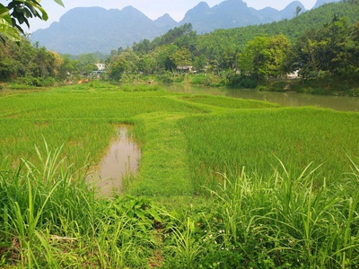 Chính chủ em cần bán lô đất đẹp - giá tốt - vị trí đắc địa tại kim bôi, hoà bình 1