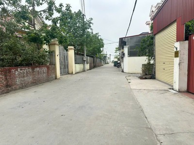Siêu phẩm 4 lô mới tinh tại an lại -dân an - tứ kỳ chỉ từ 8xxtr/lô 2