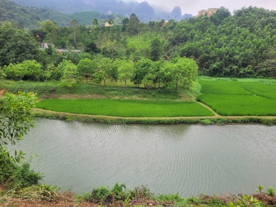 Chính chủ em cần bán lô đất đẹp - giá tốt - vị trí đắc địa tại kim bôi, hoà bình 2