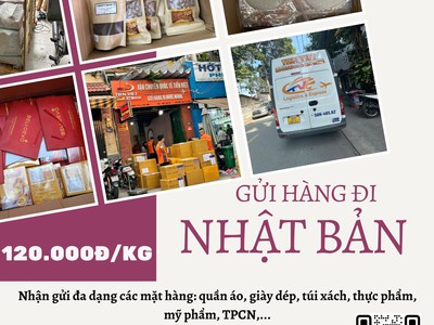 Gửi hàng đi Nhật Bản - Tiến Việt Express 0