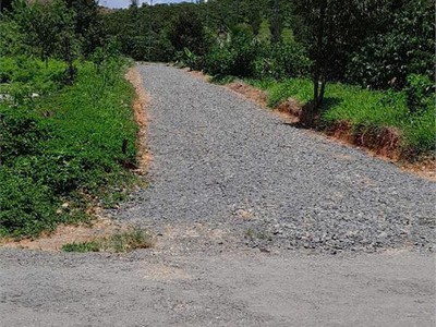 Bán đất đại lào bảo lộc - 7000m2 đường blaosire giá siêu tốt - sổ riêng 2