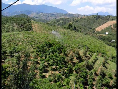 Bán đất bảo lộc - 5.700m  -  - đường bê tông đẹp, điện nước đầy đủ 2