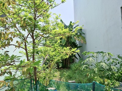 Bán đất mặt tiền đường số 10m, ngay công viên, phân lô 5mx25m, phù hợp xây nhà cao tầng để ở hoặc 2