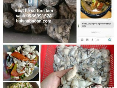 Báo giá ruột hà tươi ngon tuyển chọn 0