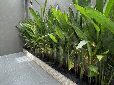 C137  siêu phẩm nhà phố phú mỹ - khu vip quận 7 - chỉ 16.5 tỷ  4