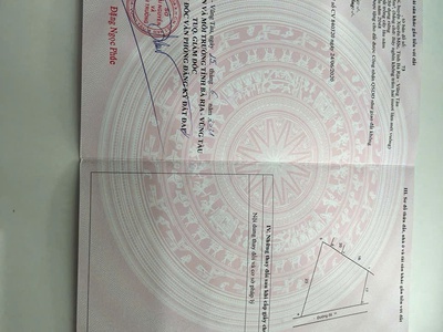 Miếng đất 2 mặt tiền, hiện đang trồng tiêu, trung bình thu hoạch được 4 tấn/năm 1