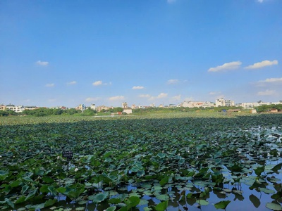 Bán nhanh trong tháng nhà đẹp phúc lợi, ngõ oto, 1 nhà ra oto tránh, 30m, 4,38 tỷ 1