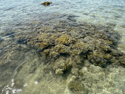 Cần bán mảnh đất siêu đẹp 4 Mặt Tiền nằm tại Đường Điệp Sơn 6