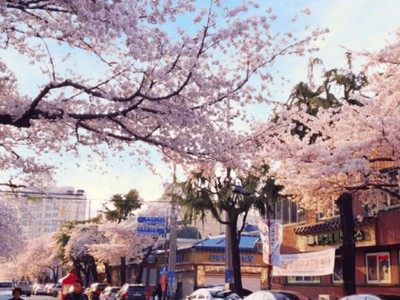 Những điểm mua sắm nổi tiếng cho khách du lịch tại Changwon 0