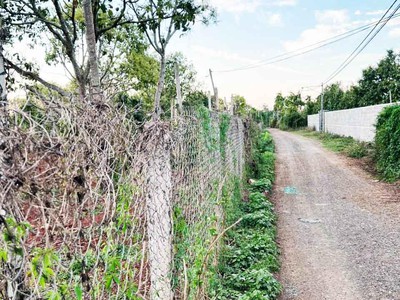 Cơ hội đầu tư   1.3ha giá chỉ 650 triệu/sào  cuôr đăng giáp hòa thuận-buôn mathuột - đăk lăk 4