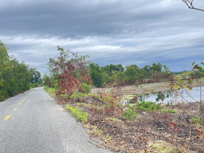 270 triệu/m ngang đất thổ cư đường lê quang định, thị xã lagi gần biển 1