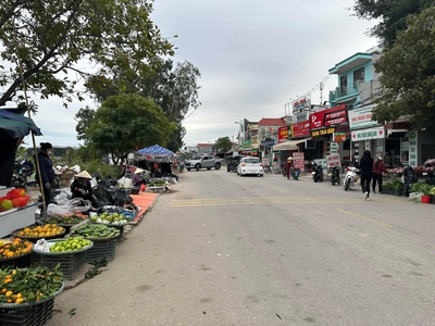 Bán đất mặt đường Đồng Nẻo,   đường 14 cũ  ngay sau khu công nghiệp Đồ Sơn. 1