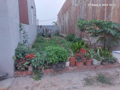 Đất giãn dân xuân nộn 60m2,mt4m, 3.96 tỷ, 2 ô tô tránh, đông anh. 0