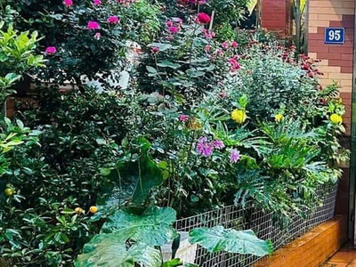 Bán nhà mặt phố đồng cổ 130m mặt tiền 5m kd đỉnh giá 24.75 tỷ 0336212066 2