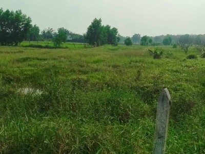  bán đất củ chi - xã trung lập hạ - sổ riêng, giá tốt - 18 tỷ tl mạnh. 0