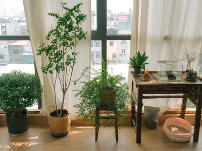 Bán nhà lô góc 2 mặt tiền - vị trí vàng gò vấp -lê dức thọ -chỉ 23 tỷ   có dong tiền 50tr/tháng 2