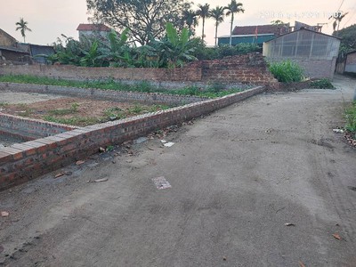 Đất thanh trí 128m2, mt5m,hậu 5.3m, chỉ 2.63 tỷ, sóc sơn. ô tô. 3