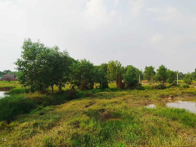  bán đất củ chi - xã trung lập hạ - sổ riêng, giá tốt - 18 tỷ tl mạnh. 4