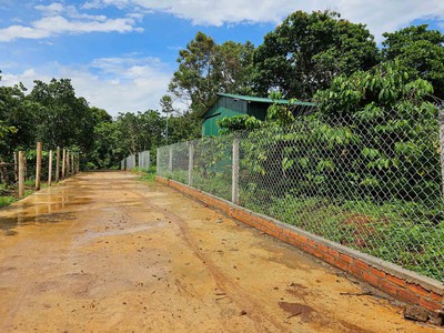 Đất nông nghiệp 1.7 ha, ea kao - buôn ma thuột  - giá hấp dẫn 450 triệu/sào 4