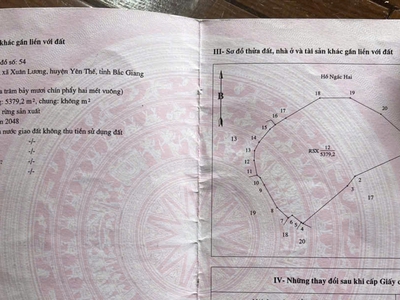 Đất đẹp - giá tốt - vị trí đắc địa tại bản làng trên, xã xuân lương, huyện yên thế, tỉnh bắc giang 0