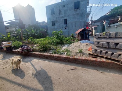 Đất mai lâm 95.2m2, mt9m, 7.45 tỷ, 3 thoáng, đông anh 1