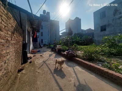 Đất mai lâm 95.2m2, mt9m, 7.45 tỷ, 3 thoáng, đông anh 2