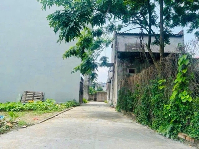 Chính chủ bán đất thổ cư sẵn sổ tại xuân nộn-đông anh 1