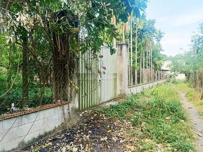 Bán nhà vườn 1/ đường 437 - 1653m2 - 30x59 - 300m2 thổ cư - xã phú hòa đông - củ chi 0
