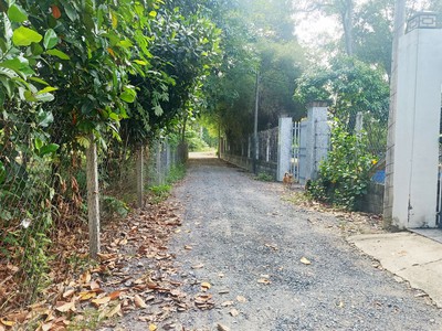 Bán nhà vườn 1/ đường 437 - 1653m2 - 30x59 - 300m2 thổ cư - xã phú hòa đông - củ chi 1