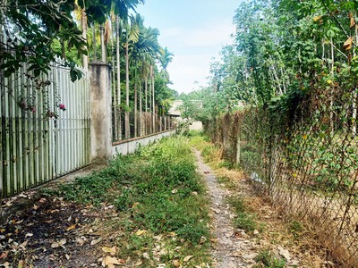 Bán nhà vườn 1/ đường 437 - 1653m2 - 30x59 - 300m2 thổ cư - xã phú hòa đông - củ chi 2