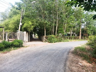 Bán nhà vườn 1/ đường 437 - 1653m2 - 30x59 - 300m2 thổ cư - xã phú hòa đông - củ chi 3