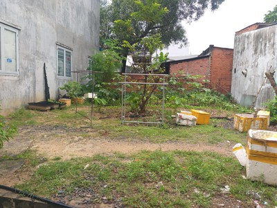Bán đất nguyễn văn tăng, long thạnh mỹ,  quận 9, 526m2, full thổ, hxh, lô góc giá chỉ 20 tỷ tl 3