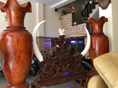 Chuyển nhượng khách sạn 7 tầng đang kinh doanh ổn định   mt hà huy giáp, q12 2