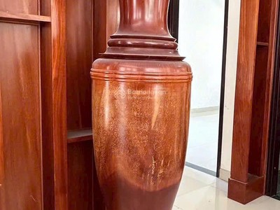 Chính chủ bán biệt thự vườn mát mẻ thích hợp nghỉ dưỡng- thủ dầu một, bình dương 4