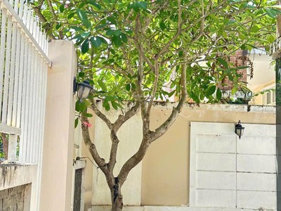 Chính chủ bán biệt thự vườn mát mẻ thích hợp nghỉ dưỡng- thủ dầu một, bình dương 1